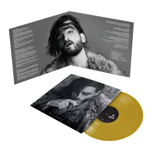 F.A.M.E. Gold Vinyl LP